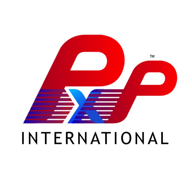PromptInt Logo